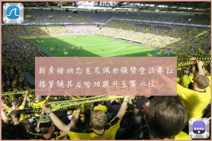 新秀榜动态克尼佩尔强势登顶弗拉格紧随其后哈珀跃升至第六位